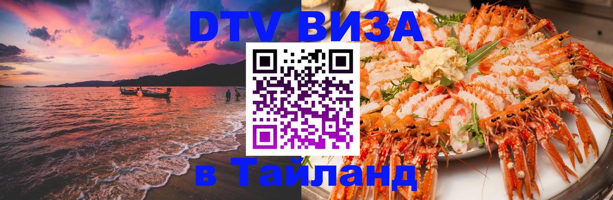Оформление DTV визы под ключ: стоимость и тарифы, только загранпаспорт - Сыктывкар 